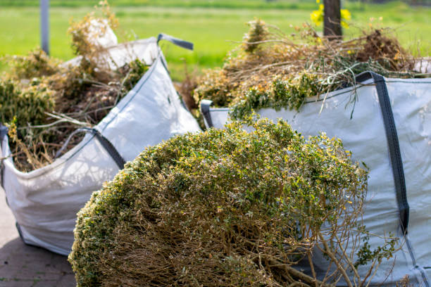 Best Household Junk Removal  in Mayville, NY